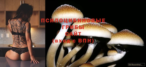 спайс Алексин