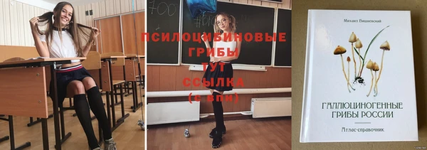 спайс Алексин